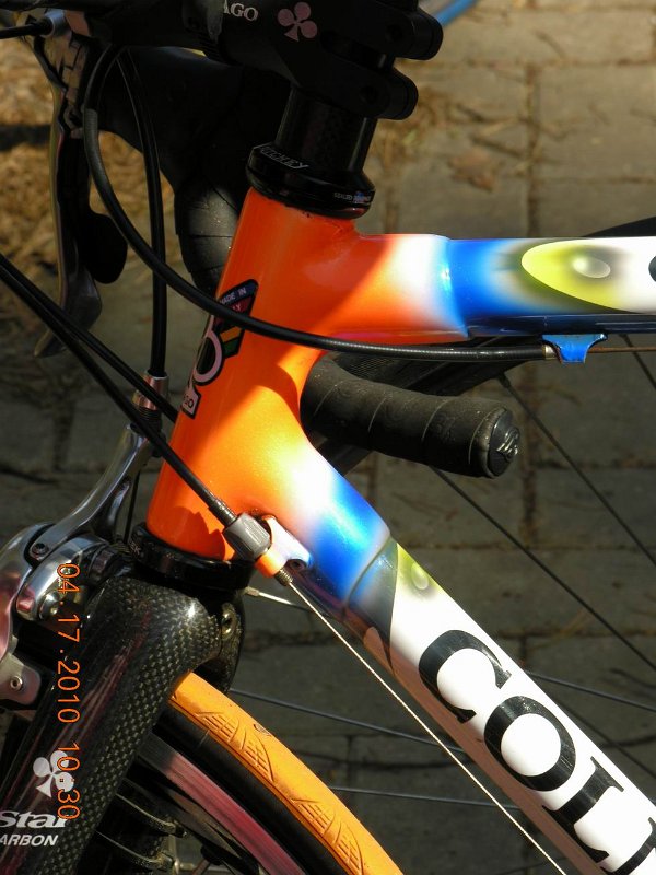 RTF Celle Dirk (19)